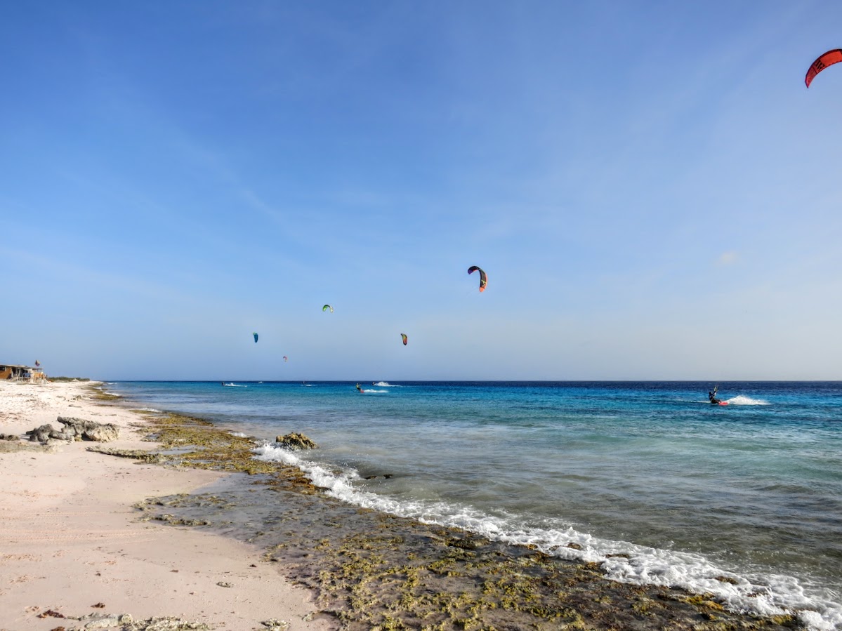 Bonaire: 15 Amazing Things To Do - Ze Wandering Frogs