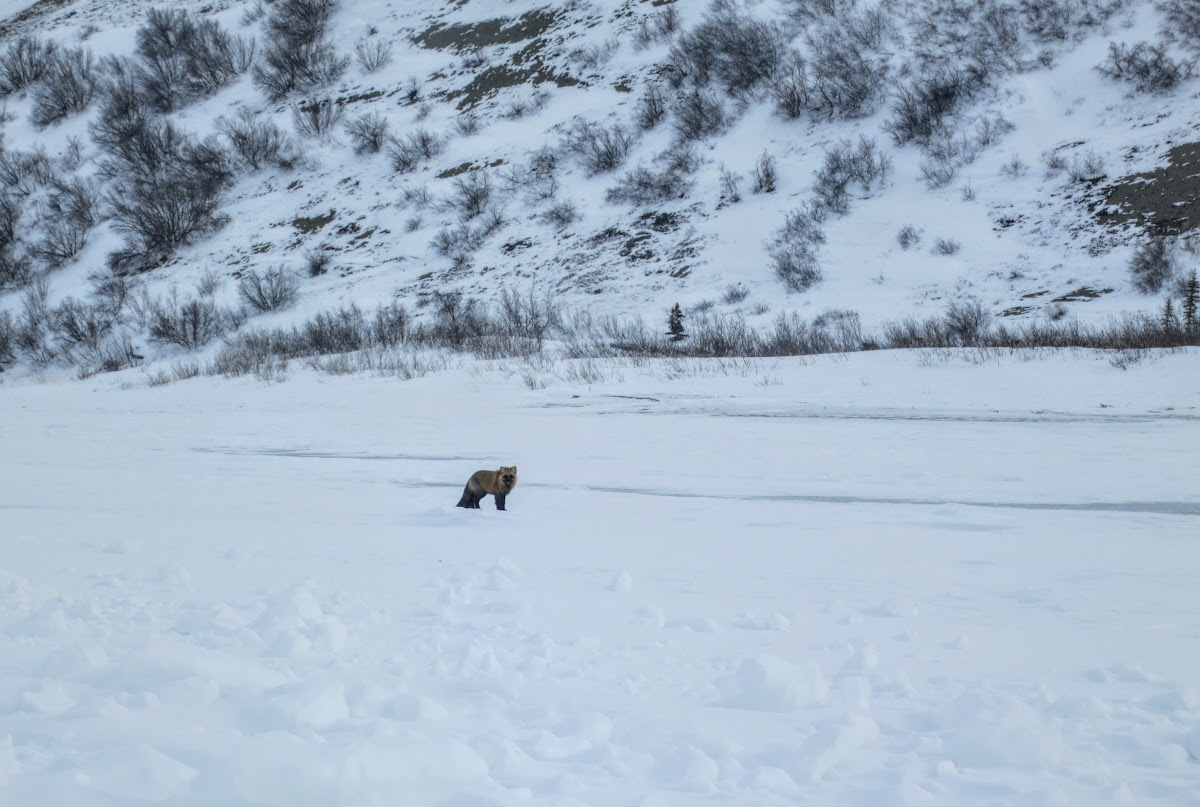 A Drive to the End of the World - On the Mackenzie River Ice Road to ...