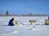 Arctic Canada Inuvik Winter Camping Tundra Dog Sledding // Bruno cuddling with his lead Husky dogs
