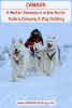 Dog sledding across the frozen tundra