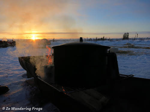 Arctic Canada Inuvik Winter Camping Tundra Dog Sledding // Morning coffee brewing, Western-style