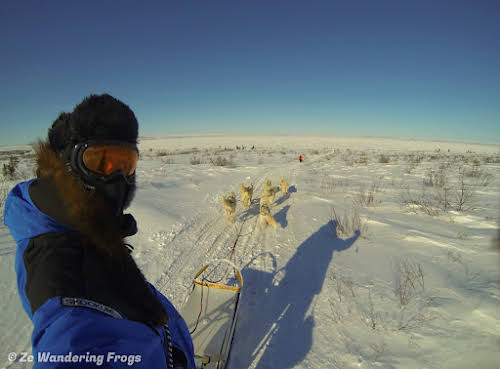 Arctic Canada Inuvik Winter Camping Tundra Dog Sledding // Sledding with our teams of Husky dogs on the tundra