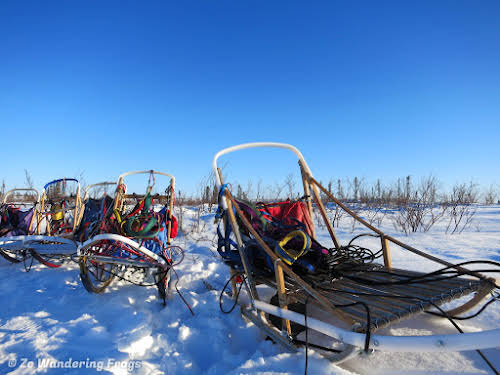 Arctic Canada Inuvik Winter Camping Tundra Dog Sledding // Traditional wood sleds