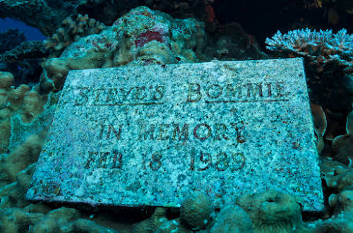 Steve's Bommie, Curtesy of TAKA