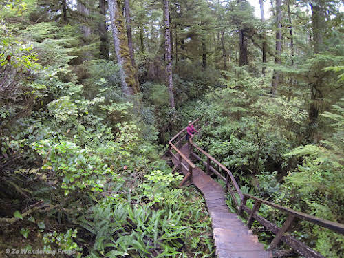 British Columbia Itinerary // Pacific Rim National Park Reserve