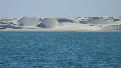 Day Trips from La Paz // Dunas del Mogote Photo Credit Raúl Mendoza Salgado Pixabay