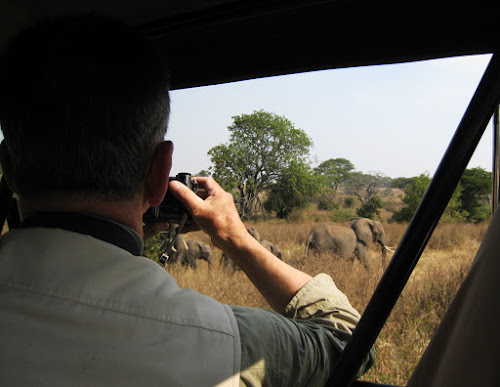 How To Choose Your 5 Days Tanzania Safari Tips & Travel Guide - Ze  Wandering Frogs