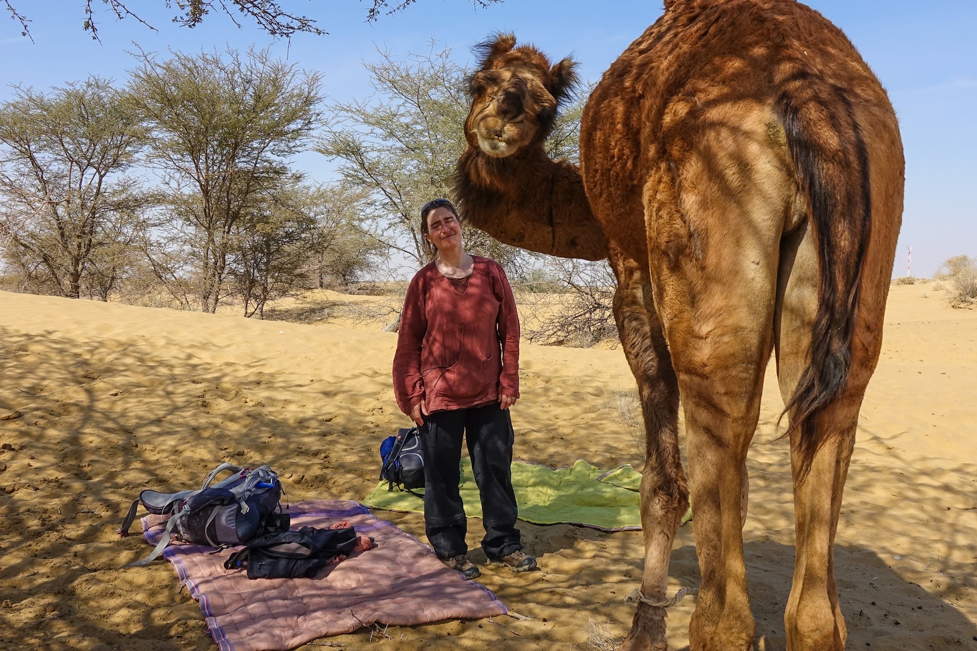 Exploring the Thar Desert in style