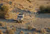 India. Rajasthan Thar Desert Camel Trek. Our pickup 4WD.