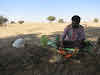 India. Rajasthan Thar Desert Camel Trek. Punja preparing the campfire for our lunch