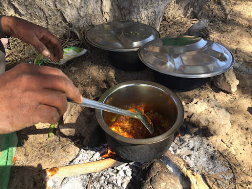 India. Rajasthan Thar Desert Camel Trek. Spicy!