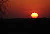 India. Rajasthan Thar Desert Camel Trek. Sunset over the Khaba Dunes