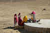 India. Rajasthan Thar Desert Camel Trek. Women pulling water
