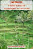A Glance at The Lush Tegalalang Rice Terraces of Bali // One cannot go to Bali and not make time to see the Tegalalang Rice Terraces.