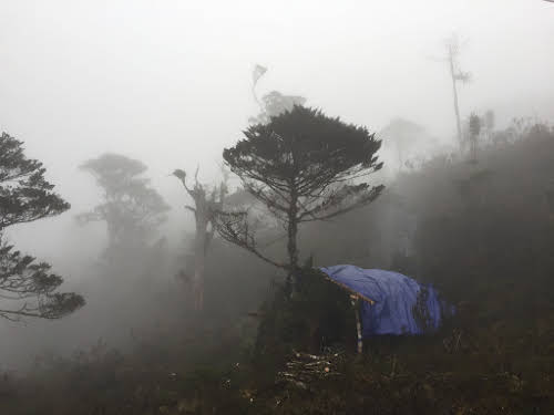 Indonesia. Papua Baliem Valley Trekking. A tarp is a must if you go through the jungle.