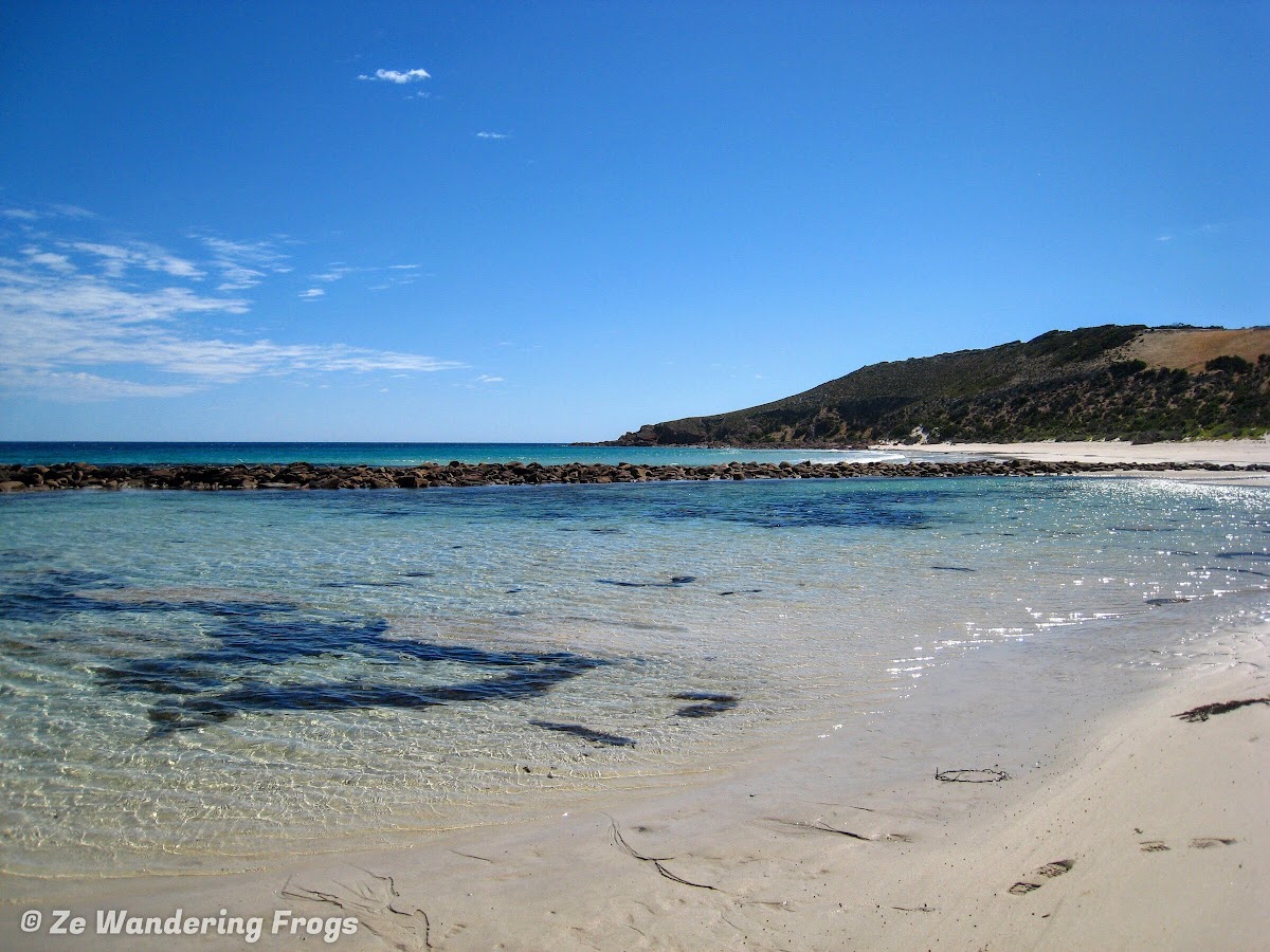 The Perfect 3-Day Itinerary Kangaroo Island Tour: What to Do and What ...