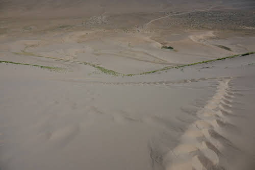 Minivans way, way down