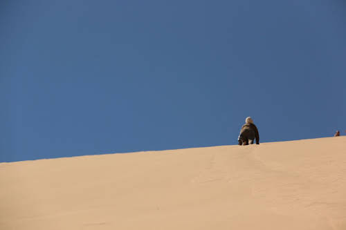 And now crawling up!