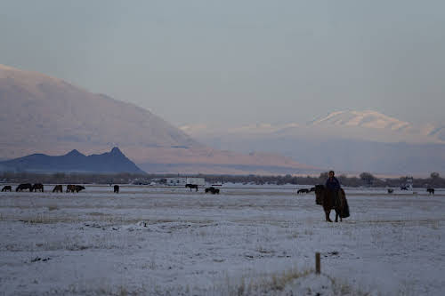 Horses in the Sagsai valley