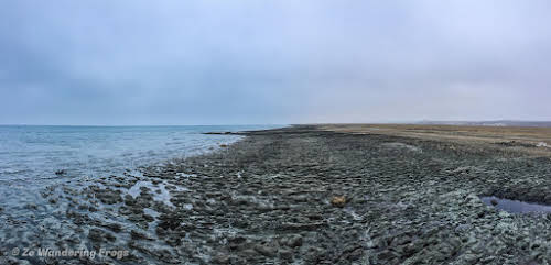 Off-the-Beaten Path Uzbekistan: A 3-Day Aral Sea Tour // Sober View of the Shrinking Aral Sea