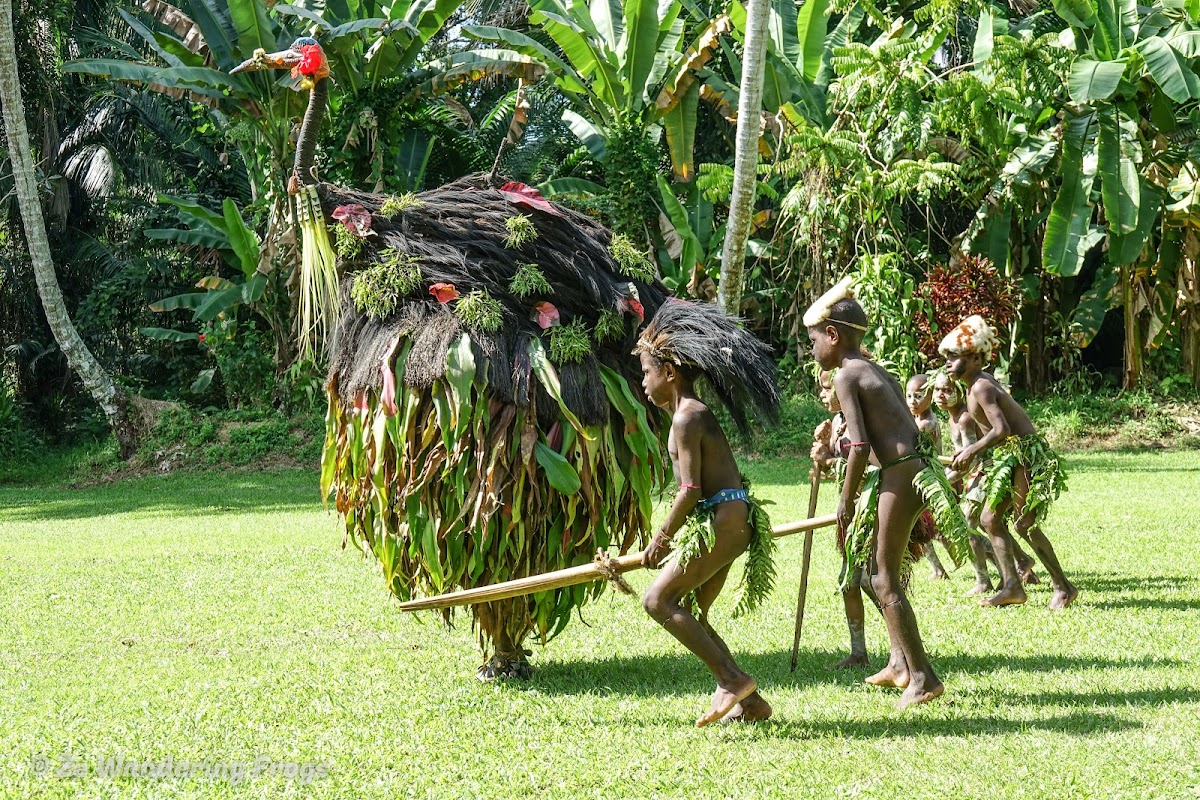 Exploring Papua New Guinea: East Sepik River Clans Culture & Crocodile ...