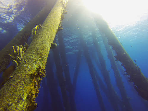 Pillars at the Salt Pier