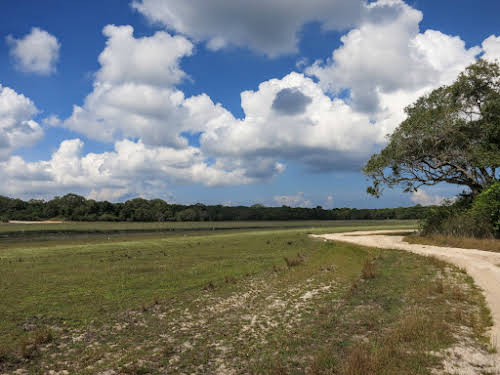 Sri. Lanka Wilpattu National Park . Driving around the park