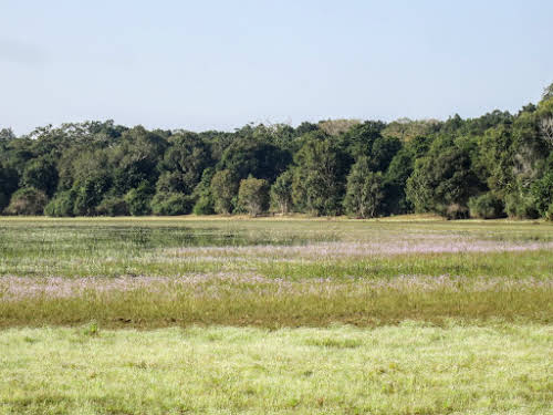 Sri. Lanka Wilpattu National Park . One of the Willa of Wilpattu?