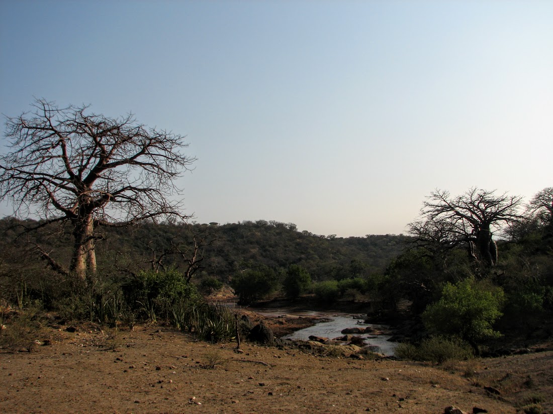 Baobab and river hunting grounds