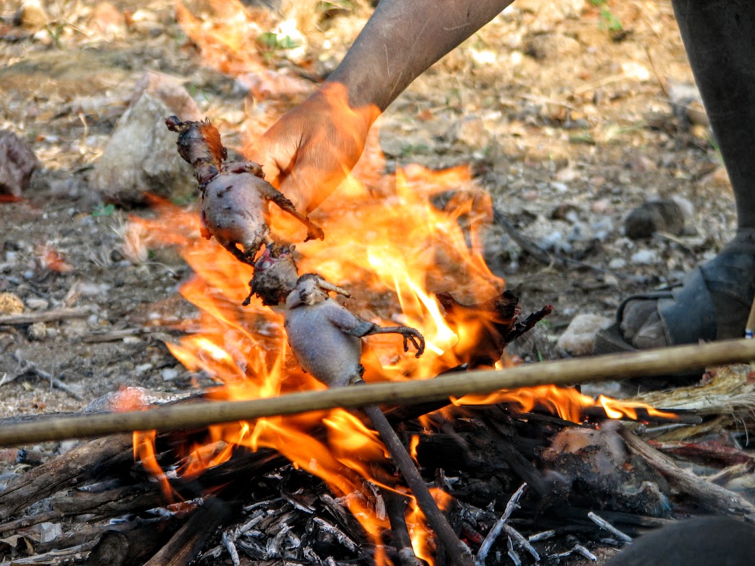 Birds cooking on fire