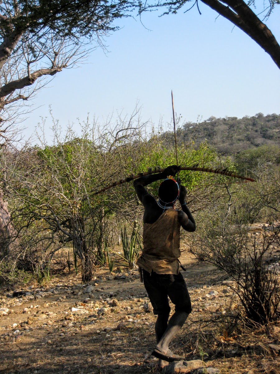 Traditional Bowhunting With The Hadzabe Tribe In Tanzania - Ze ...