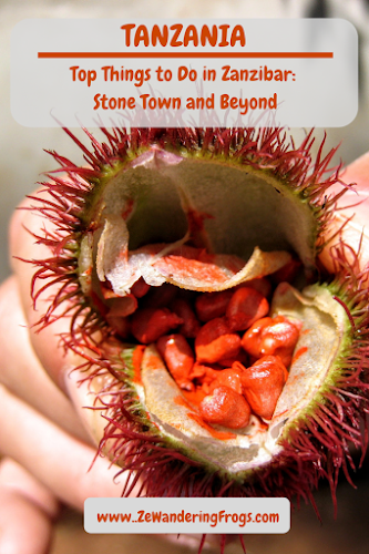Tanzania Things to Do in Zanzibar Stone Town and Beyond // Spices