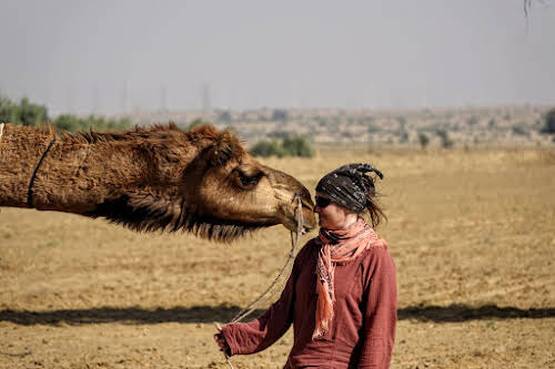 A Fantastic 3 Day Camel Trek In The Thar Desert Rajasthan Day 3 At Khaba Fort Ze Wandering Frogs