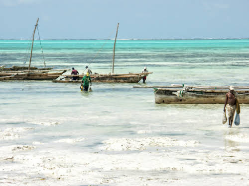 Things to Do in Zanzibar Stone Town and Beyond // Traditional Fishing Boats in Jambiani
