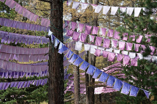 Tuvkhun Monastery: The Stunning Perched Tibetan Buddhist Temple of the Okhron Valley // Colorful Prayer Flags